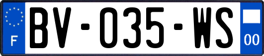 BV-035-WS