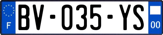 BV-035-YS