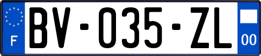 BV-035-ZL