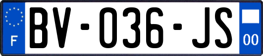 BV-036-JS