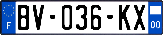 BV-036-KX