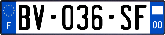 BV-036-SF