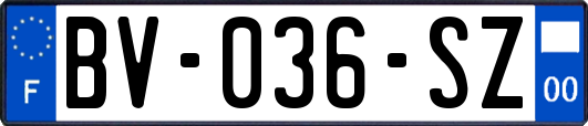 BV-036-SZ