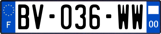 BV-036-WW