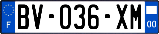 BV-036-XM
