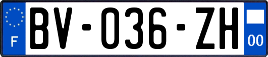 BV-036-ZH