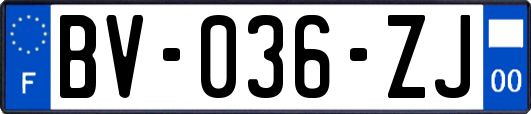 BV-036-ZJ