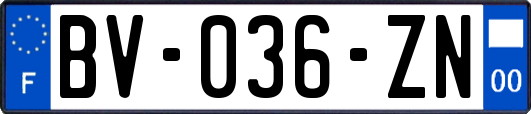 BV-036-ZN