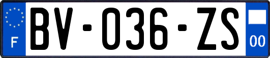 BV-036-ZS