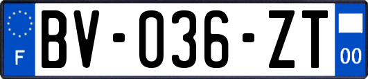 BV-036-ZT