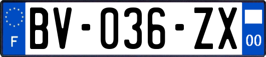 BV-036-ZX