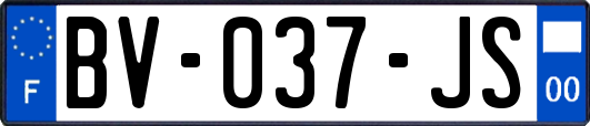 BV-037-JS