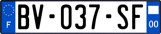 BV-037-SF