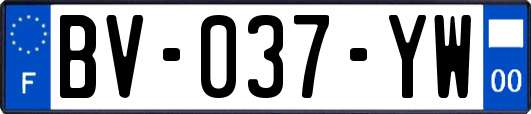 BV-037-YW