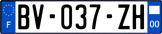 BV-037-ZH