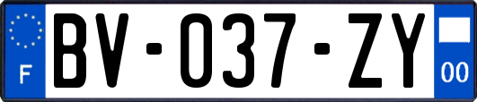 BV-037-ZY