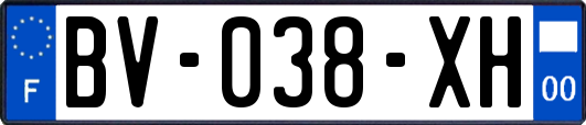 BV-038-XH