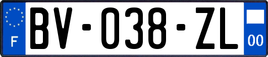 BV-038-ZL