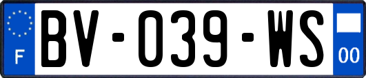 BV-039-WS