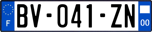 BV-041-ZN