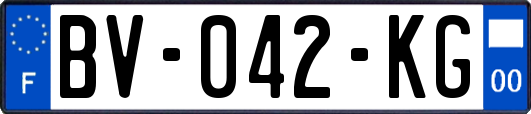 BV-042-KG