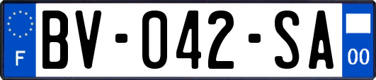 BV-042-SA