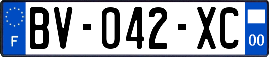 BV-042-XC