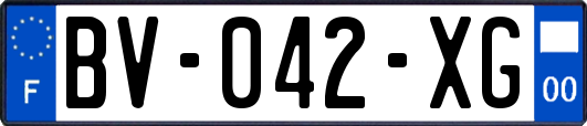 BV-042-XG