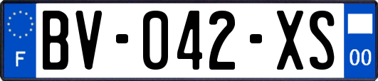 BV-042-XS