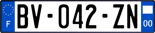 BV-042-ZN