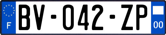 BV-042-ZP