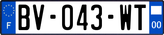 BV-043-WT