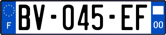 BV-045-EF
