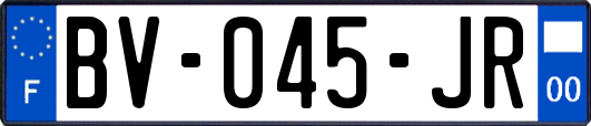 BV-045-JR