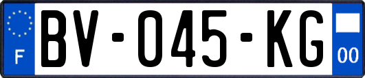 BV-045-KG