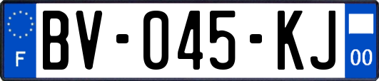 BV-045-KJ