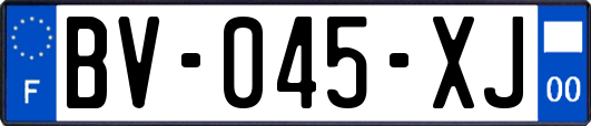 BV-045-XJ
