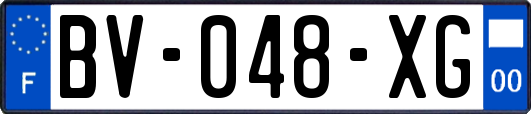 BV-048-XG