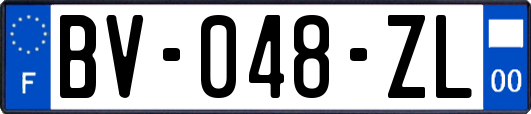 BV-048-ZL