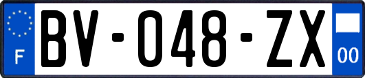 BV-048-ZX