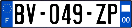 BV-049-ZP