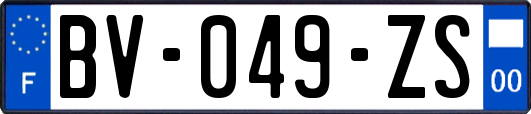 BV-049-ZS