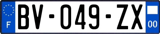 BV-049-ZX