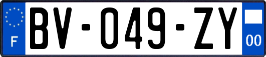 BV-049-ZY