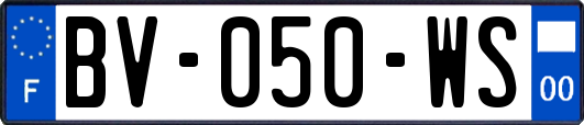 BV-050-WS