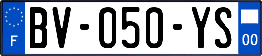 BV-050-YS