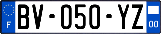 BV-050-YZ