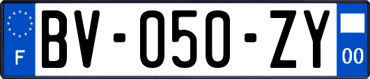 BV-050-ZY