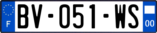 BV-051-WS