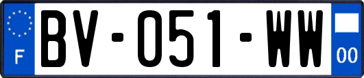 BV-051-WW